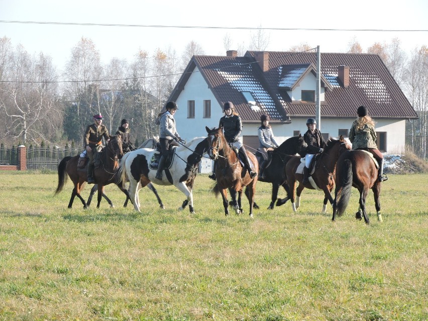 W Stajni Mustang stawiło się ok. 40 konnych, ze stajni...