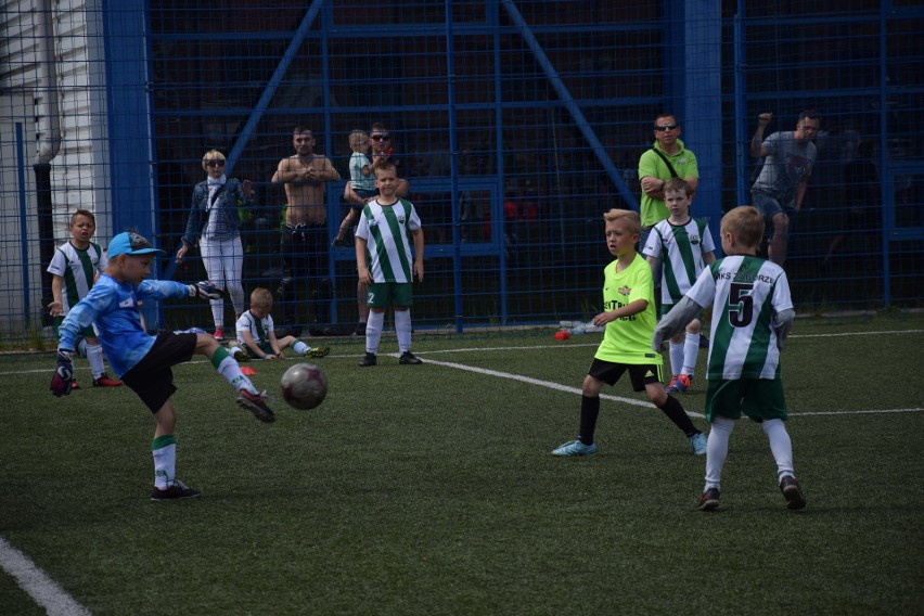 Turniej Zawiercie Cup 2017: Ponad 200 zawodników na boiskach ZDJĘCIA