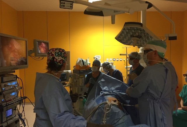 Podczas operacji usunięcia śledziony chirurdzy korzystali z platformy 3D, pokazującej jamę brzuszną w trójwymiarze. Dzięki zastosowaniu metody laparoskopowej pacjentka szybko wróci do zdrowia.