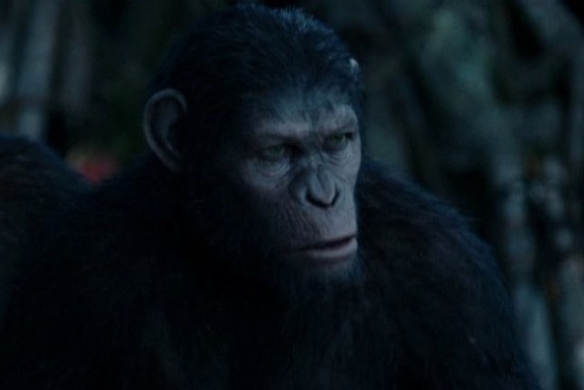"Ewolucja planety małp" (fot. CNN Newsource/x-news)