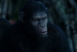 Film "Ewolucja planety małp" wchodzi do kin! [WIDEO]