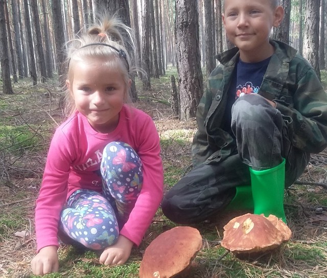 Mateusz i Iza znaleźli piękne okazy grzybów