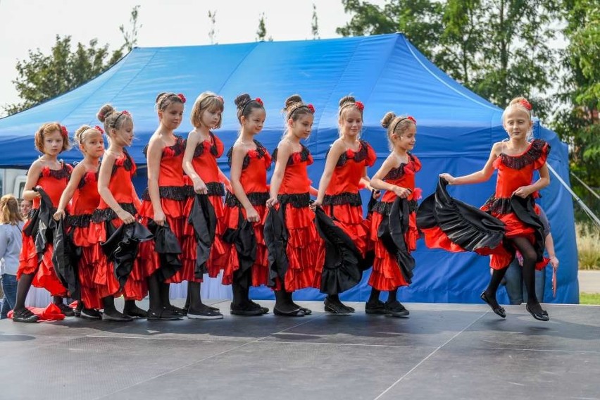 Trwa Piknik Staromiejski w Starym Korycie Warty [ZDJĘCIA]