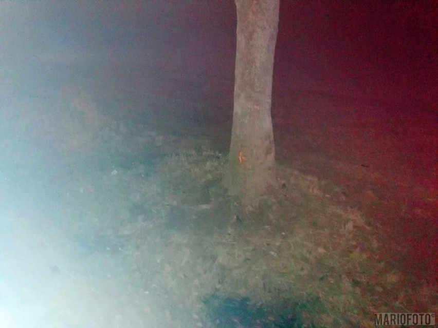 Tragiczny wypadek na trasie Biała - Solec. We wtorek w nocy BMW uderzyło w drzewo. Nie żyje 26-letni kierowca