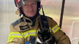 Strażacy z KM PSP w Grudziądzu podczas pożaru uratowali kotka!