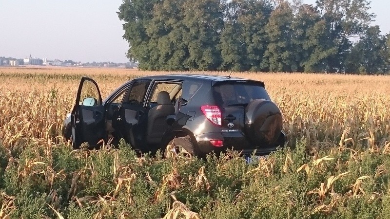 Kradzione auto ukrył w polu kukurydzy [ZDJĘCIA, FILM]