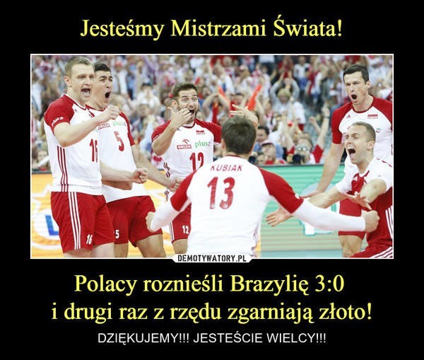 Polska - Brazylia 3:0: Polacy mistrzami świata! [MEMY,...