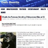 W wieku 52 lat zmarł Charlie, uzależniony od nikotyny szympans