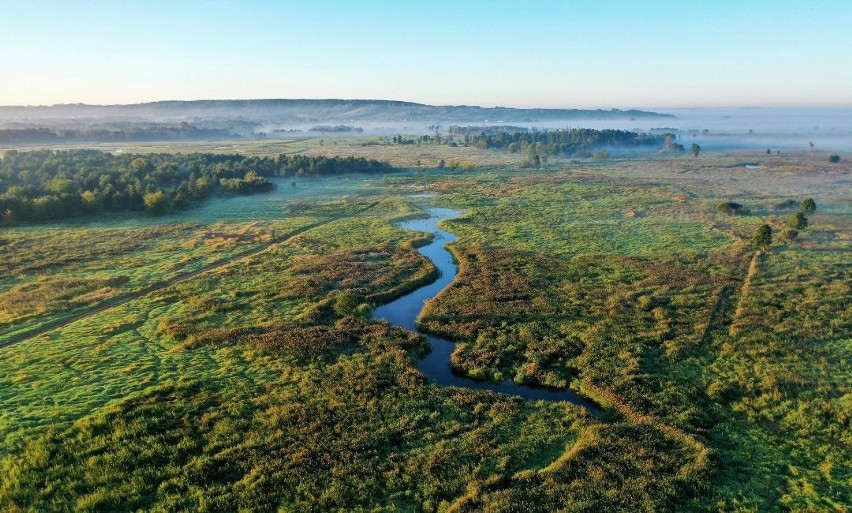 Śródlądowa delta rzeki Nidy z drona. Teren już po zabiegach...
