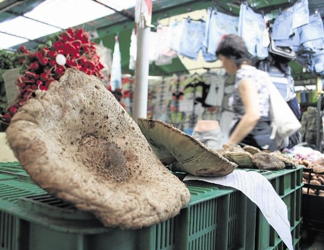 Sprzedawcy mogą handlować grzybami, gdy mają specjalne atesty