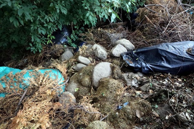 Na wysypisku śmieci na obrzeżach Chersonia Rosjanie palili ciała swoich poległych w walkach żołnierzy
