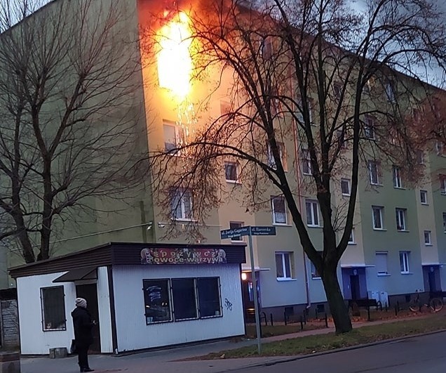 Groźny pożar w centrum Kędzierzyna-Koźla. Jedna osoba ranna. Strażacy w częściowo spalonym mieszkaniu znaleźli węża