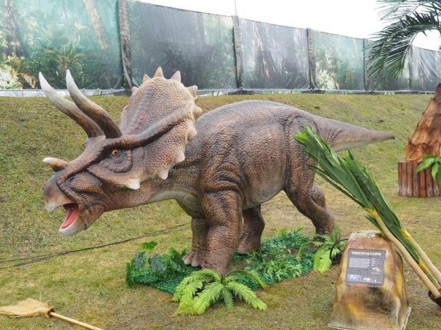 DinoparkPort ŁódźPrzy Porcie Łódź powstała nowa atrakcja Dinopark Dinoworld. Na otwartym terenie prezentowane są w nim sylwetki lubianych przez dzieci dinozaurów. Dinopark czynny jest od poniedziałku do soboty w godz. 10 – 21, w niedziele od godz. 10 do 20.Cena biletu do parku dinozaurów wynosi 45 zł, bilet ulgowy 40 zł.