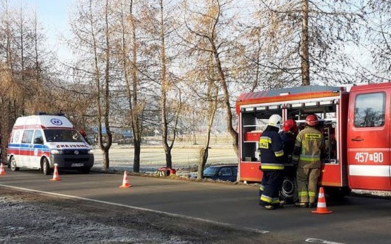 Ujanowice. Samochód w rowie. Strażacy w akcji