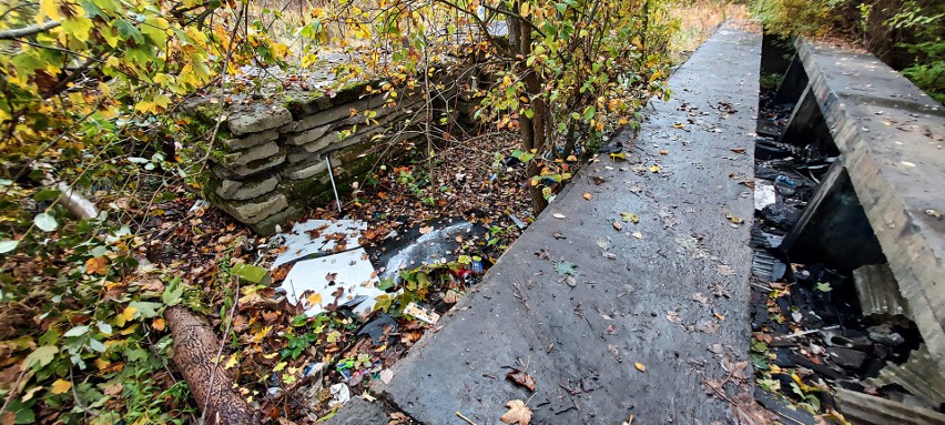 Kanał samochodowy przy ulicy Połczyńskiej w Koszalinie zasypany śmieciami. Wkrótce mają zniknąć [ZDJĘCIA]