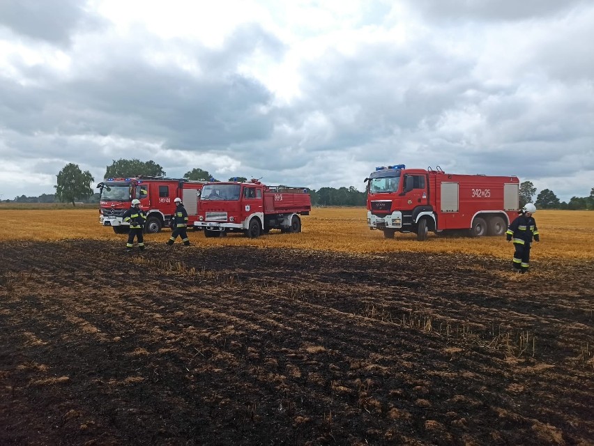 35 hektarów pól spłonęło pod Słupskiem w niedzielę,...