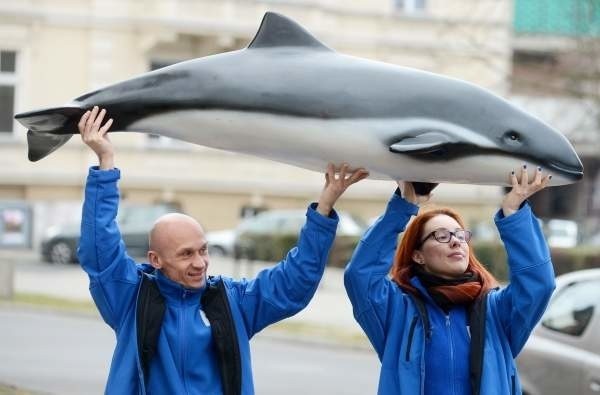 Celem akcji WWF Godzina dla Ziemi jest pomoc ginącym morświnom w Bałtytku.