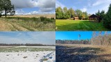 Licytacje komornicze działek w województwie lubelskim. Te grunty możesz kupić teraz w okazyjnej cenie. Sprawdź