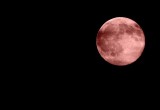 Truskawkowy Księżyc pojawi się nad Wrocławiem. Dziś w nocy warto obserwować niebo 