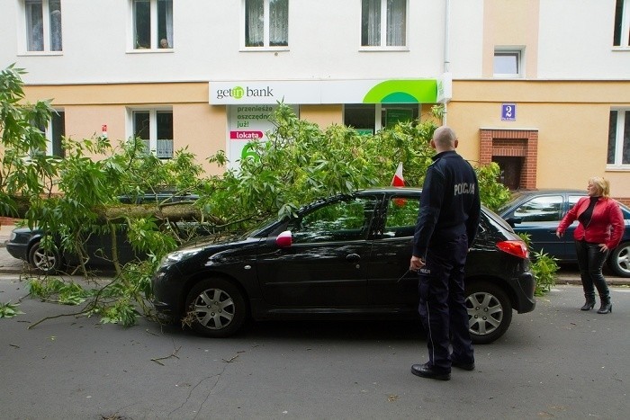 W Kołobrzegu drzewo runęło na samochody
[yt]F1VuODwTw20[/yt]