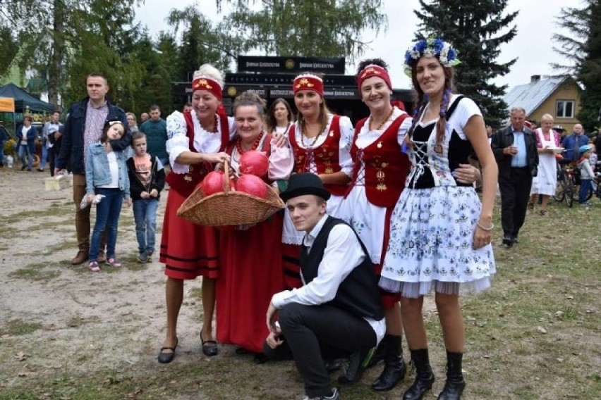 VII Festiwal Żurawiny w Dobrogoszczy. Rajd rowerowy, warsztaty dla dzieci i konkurs kulinarny
