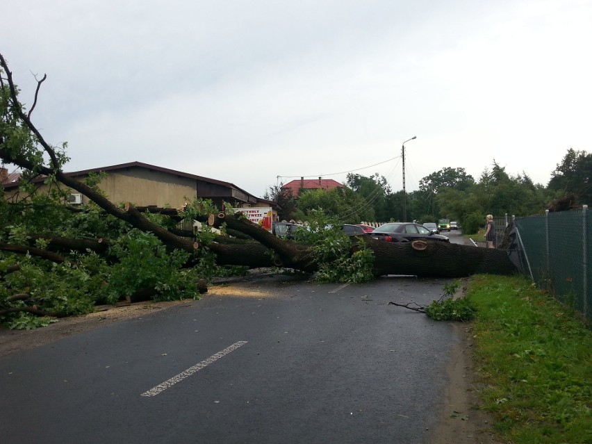 Burza w Łodzi. Nawałnica nad Łodzią. Powalone drzewa, gałęzie na drogach, zalane ulice [ZDJĘCIA]