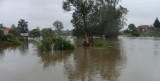 Powódź w Lubuskiem: Woda wymyka się spod kontroli, sytuacja jest dramatyczna (wideo od Czytelnika)