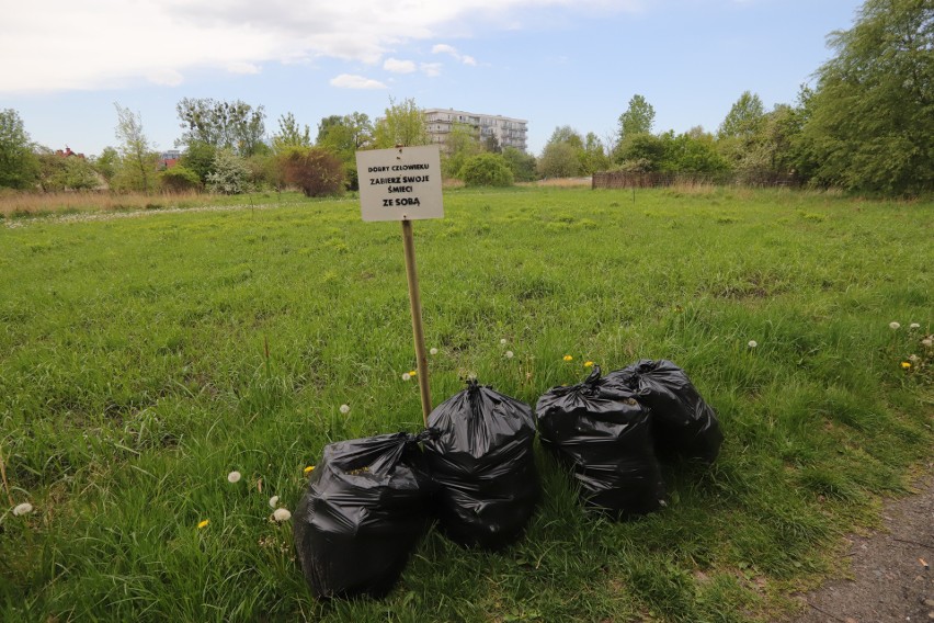 Mieszkanka Zarzewa sama posprzątała zielony teren przy ul.Przybyszewskiego. Akcję sprzątania pokrzyżował urzędnikom koronawirus