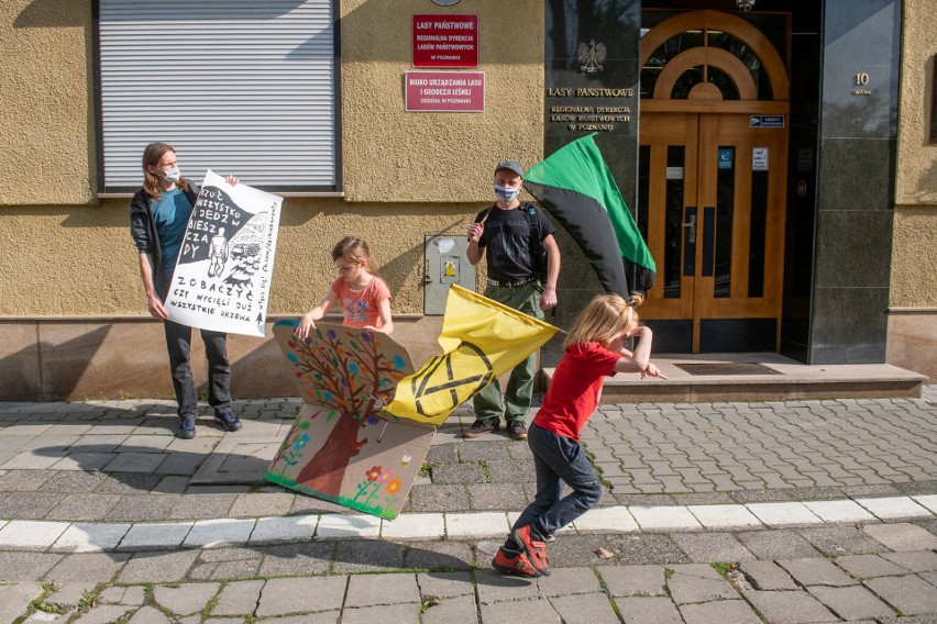 Protest w obronie karpackich lasów odbył się w Poznaniu.