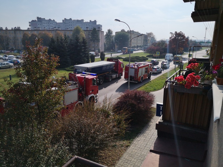 - Ze wstępnych ustaleń policji wynika, że dzisiaj około...