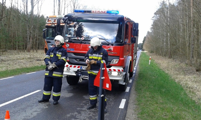 Powalone drzewo na trasie Sławoborze - Świdwin.