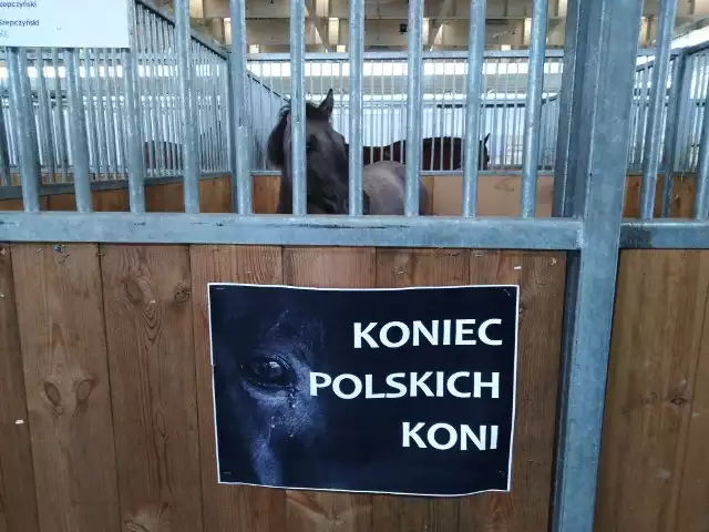 Ten plakat pojawił się podczas Narodowej Wystawy Zwierzat Hodowlanych w Poznaniu