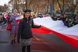 Narodowe Święto Niepodległości. Obchody w miastach województwa śląskiego - jakie atrakcje czekają na mieszkańców?