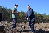 W Wierzchucinie posadzili las na 100-lecie Niepodległej. - Świetna inicjatywa - komentuje starosta Jarosław Białk| ZDJĘCIA, WIDEO