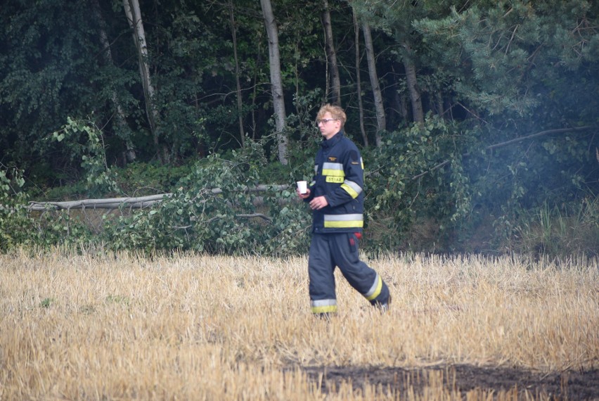 Podejrzani o podpalenia w gminie Brąszewice zatrzymani na gorącym uczynku!