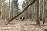 Puszcza Białowieska. Do lasów wstęp wzbroniony! Mieszkańcy protestują