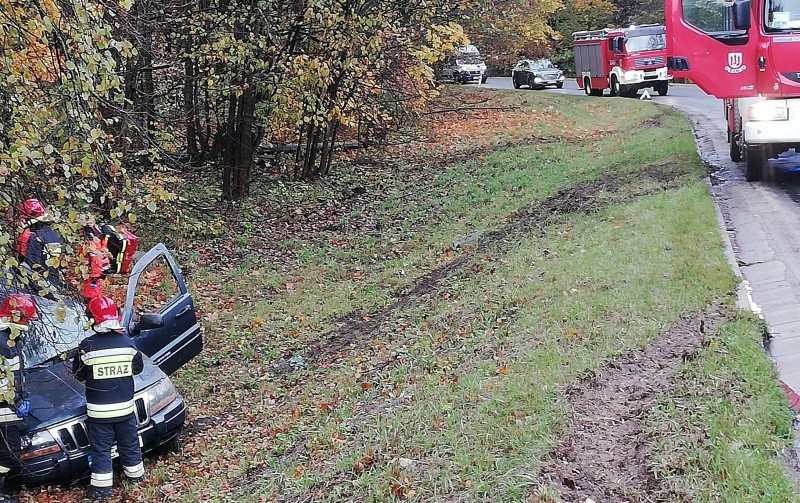 Jeep wypadł z drogi i zatrzymał się na drzewie (zdjęcia)