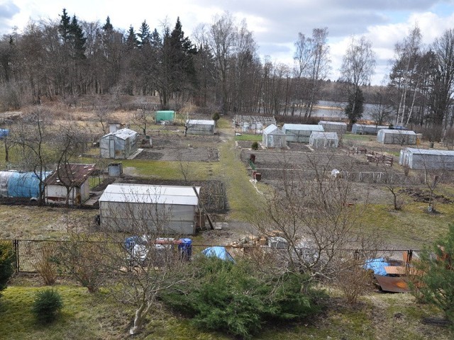 Ogródki działkowe przy ulicy Szczecińskiej, już po pierwszych wiosennych porządkach. Mieszkańcy bloku, z którego rozpościera się widok na niezbyt urodziwe działki chętnie by się ich pozbyli. 