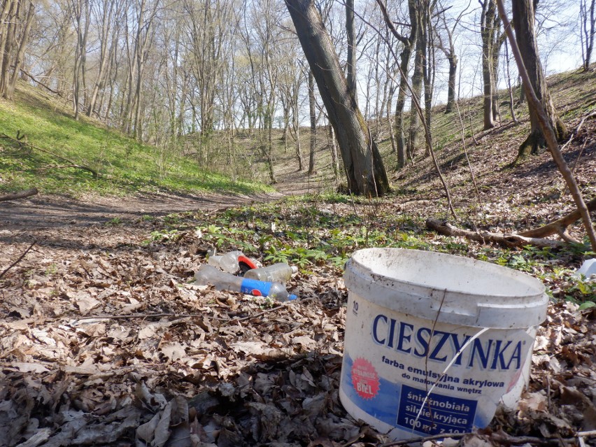 Człowiek to największy szkodnik lasów. Najczęściej je zaśmieca, czasem podpala