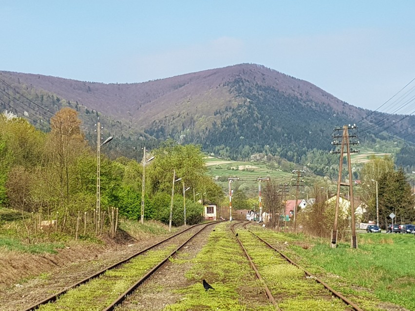 Odkryj Beskid Wyspowy. Kamienne „szczeble” poprowadzą nas na Szczebel