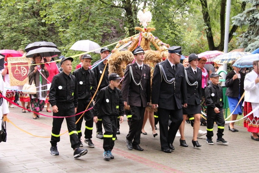 Miejskie dożynki odbywają się w niedzielę w Dąbrowie...