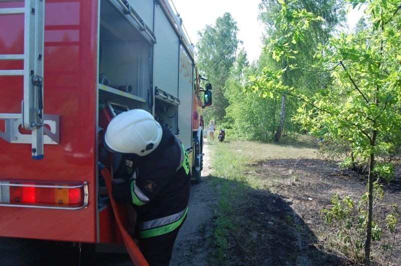 Pożar lasu koło Kurpiowskiej Krainy