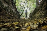 Czterech chętnych na utwardzenie wąwozu w Kazimierzu Dolnym 