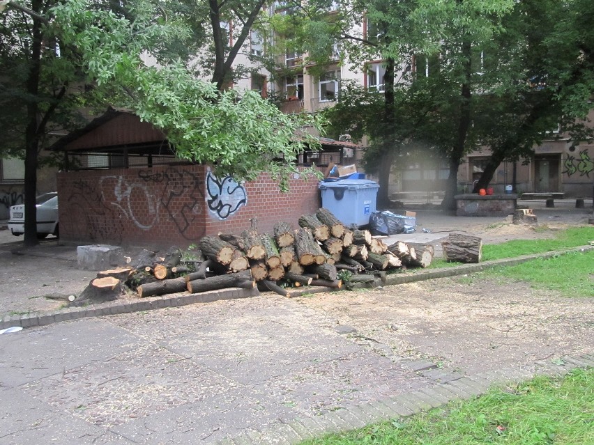 Wrocław: Wycinają drzewa na skwerku przy ul. Szewskiej