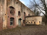 Kraków. Ruiny fortu Dłubnia. Tutaj nawet za dnia człowiek czuje się nieswojo [ZDJĘCIA]