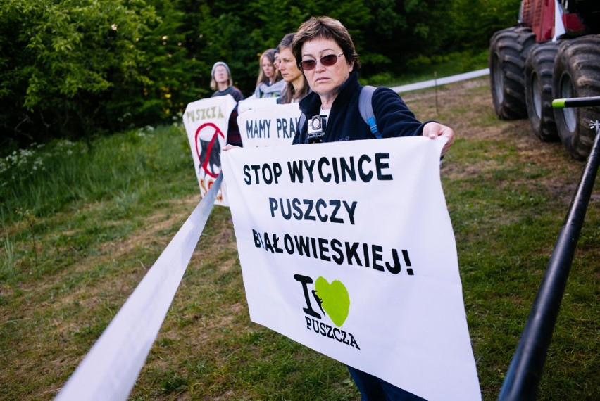 Blokada wycinki drzew w Puszczy Białowieskiej