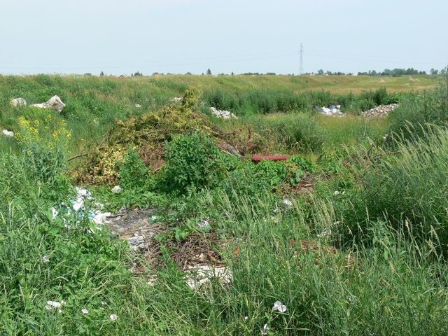 To jedno z wielu dzikich wysypisk, jakie zalegają na terenie rolniczego osiedla Sobów w Tarnobrzegu