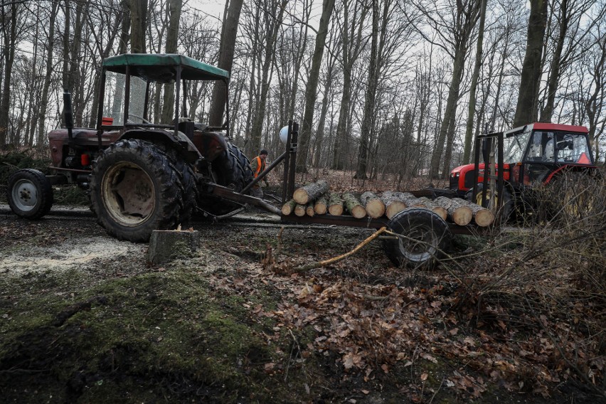 Wichura w Krakowie. Uszkodzone domy i powalone drzewa [ZDJĘCIA]                       