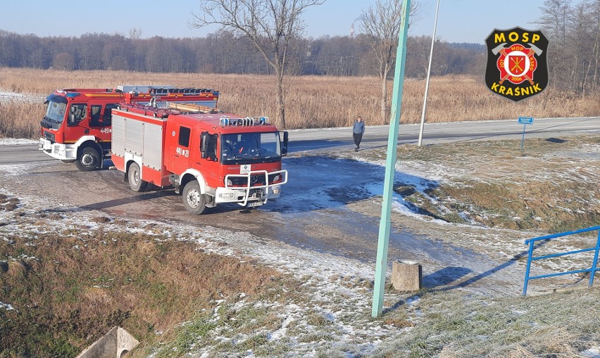 Łabędzie przymarzły do tafli lodu. Z pomocą przyszli strażacy. Zobacz zdjęcia