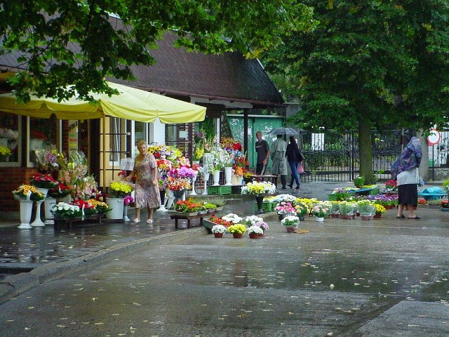 Wczoraj kwiaciarnie przy cmentarzu nie miały żadnej konkurencji. Jutro jednak wokół placu cmentarnego rozlokuje się wielu obwoźnych handlowców.